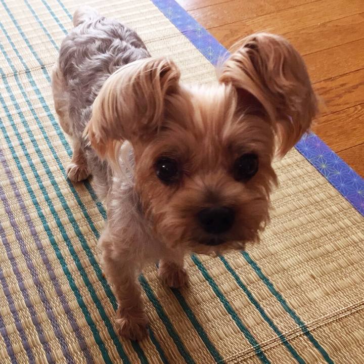 2c64c561 bb08 4dbd b83a 2b41d3bc14e4 1536054020454