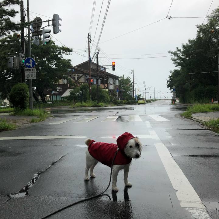 2c6511ed 9f9b 47fa 949c 10aa6fe39e30 1596929491870