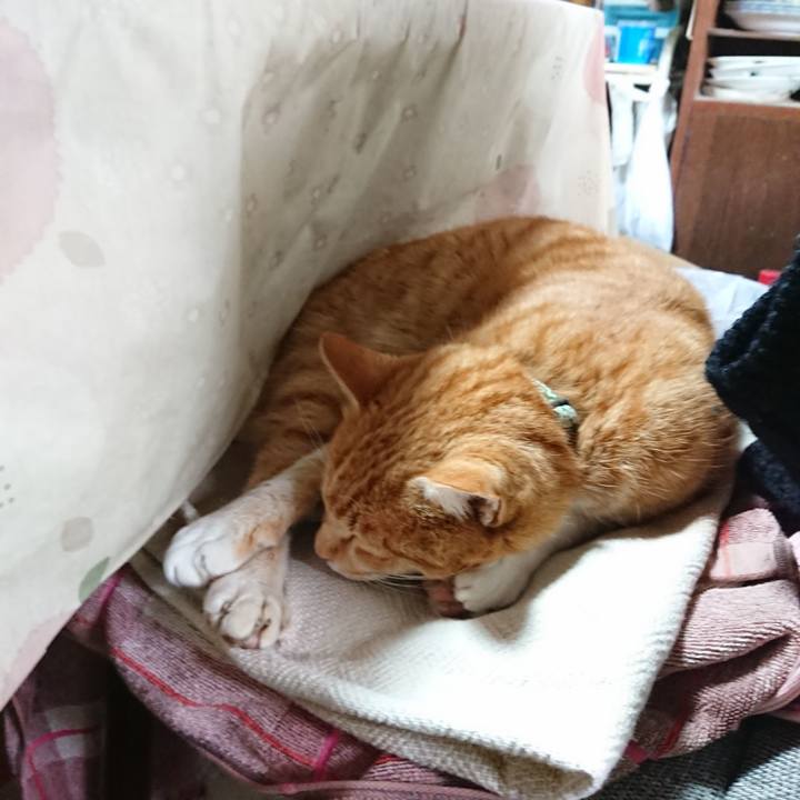 2c653bc4 2903 4c62 9aaf 23d0ac3fb084 1582430179612