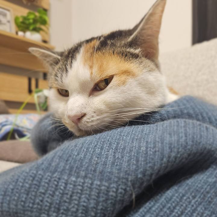 2c653dd1 95d4 42fa 91da e55fee903af1 1770124253082