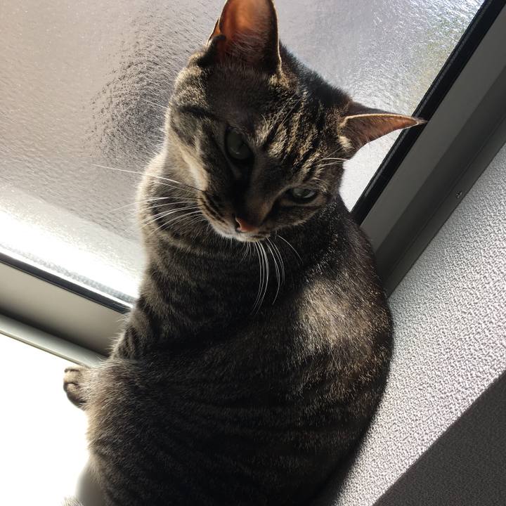 2c654eba ed92 4ec3 9a5f 6f2d524029d7 1557354225486