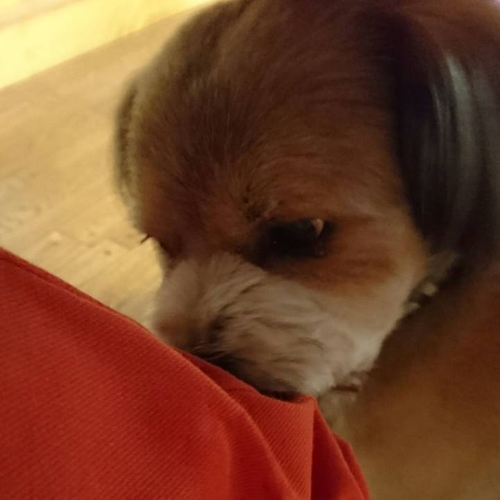 2c658a5a a89c 480c 821e 842d36172f7e 1522362064193