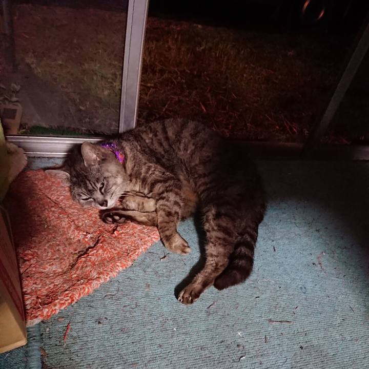 2c6591aa 4ee9 4580 9995 fedcd2ddc479 1598092358706