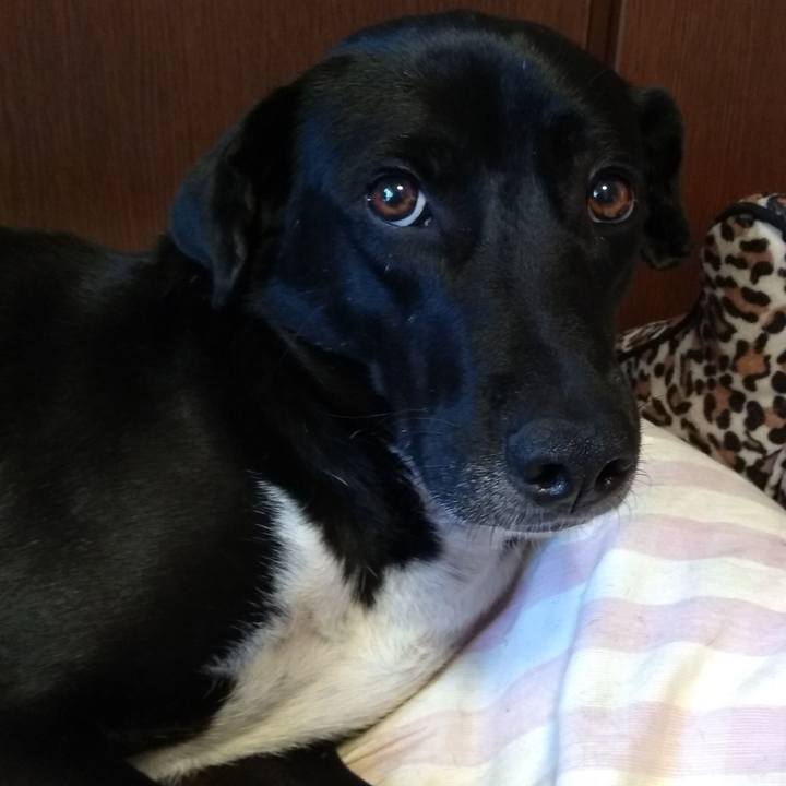 2c65b93f 9a9c 4828 abbe 9bad4d78f1a0 1583835074172