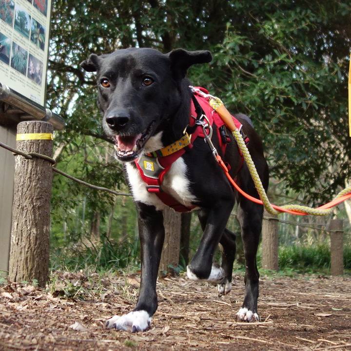 2c65f7a6 5105 4dd2 bb83 36c966913c60 1584060359908