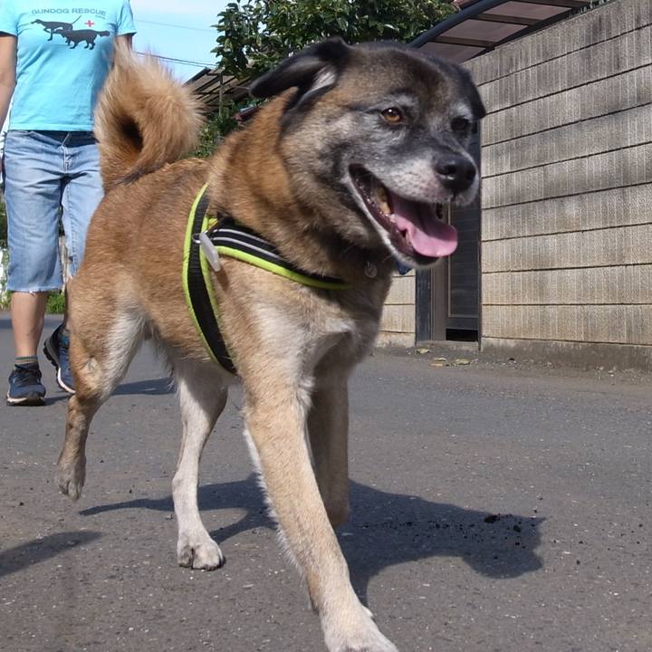 2c66028a 4a16 4380 b5d9 cfd014549f5f 1582777080547