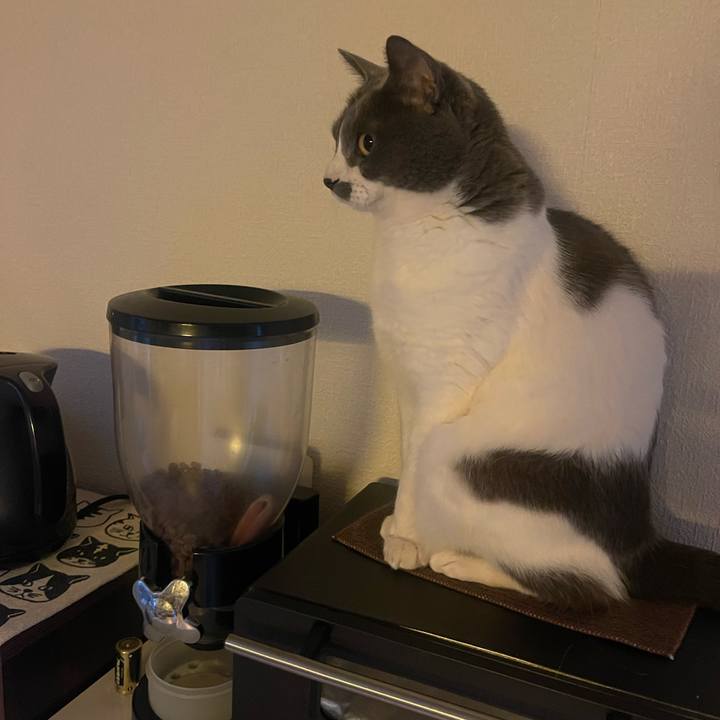 2c660c8e c2c9 4a1a bff6 4f1ddc1bf171 1740609310072