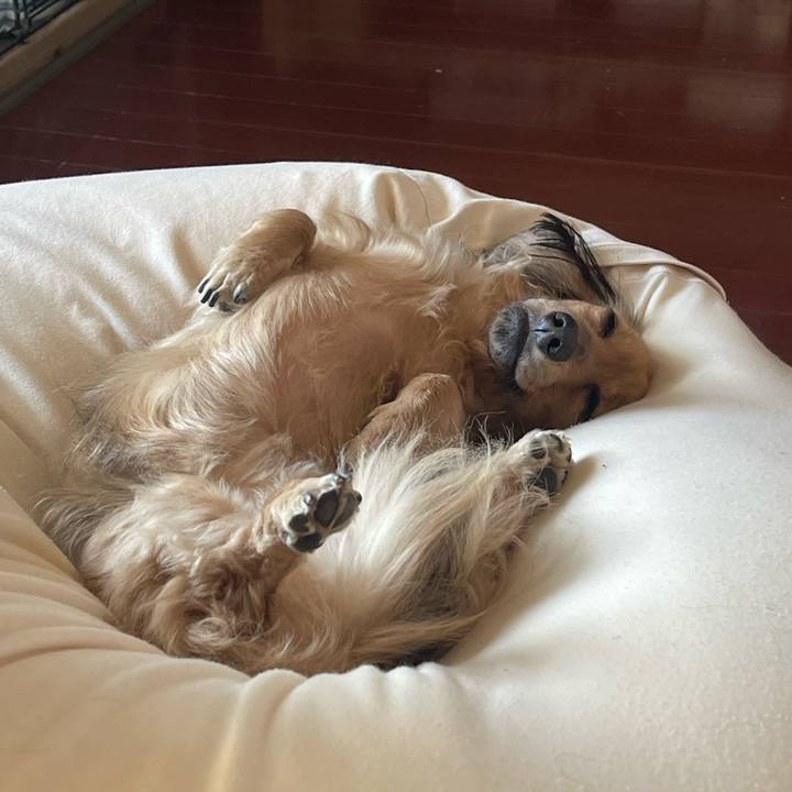 2c662290 5017 4de4 b28d 1e1a7a62dc69 1726555368390