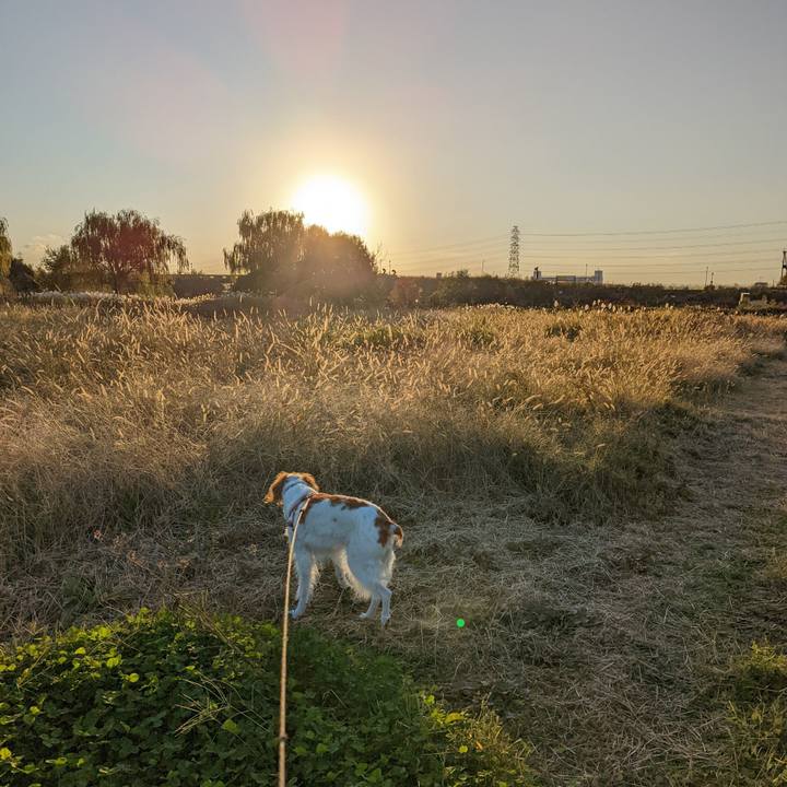 2c662749 21a3 4910 a6c2 7952f6c743b8 1636877585570