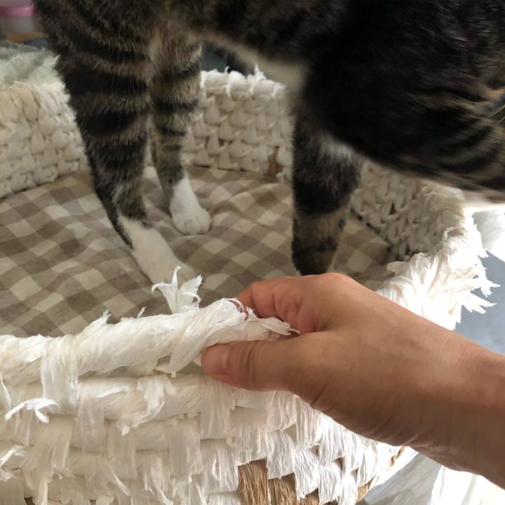 2c66710f 0e80 4c3f 918e 07824721fc6f 1566266645497