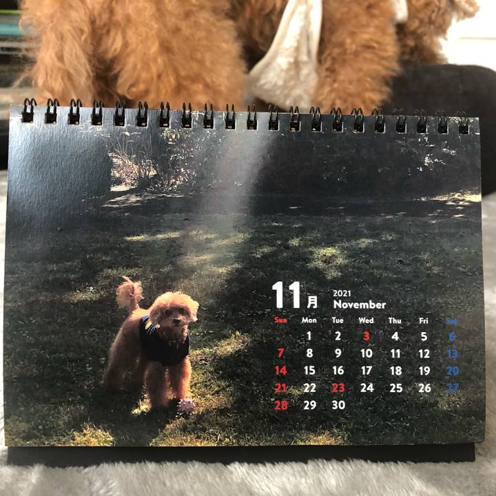 2c667a84 669c 4262 b437 e74b0a235465 1638146705222