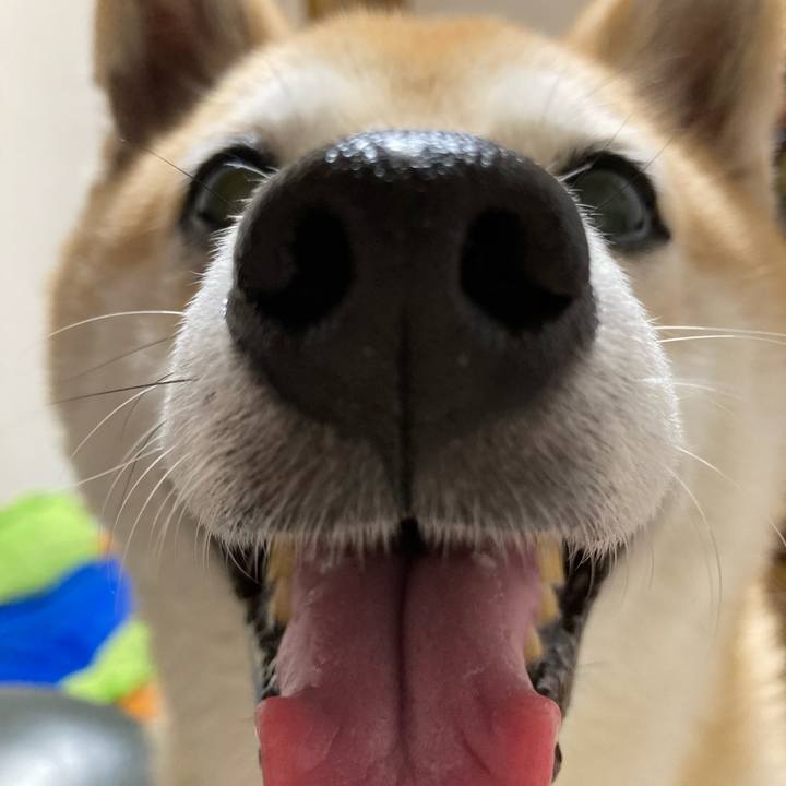 2c66840b 0922 4094 bb2c ecc0609f9e43 1632487369337