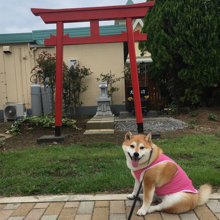 2c6693d3 421b 4c53 9269 cefbb22c4251 1567337150852