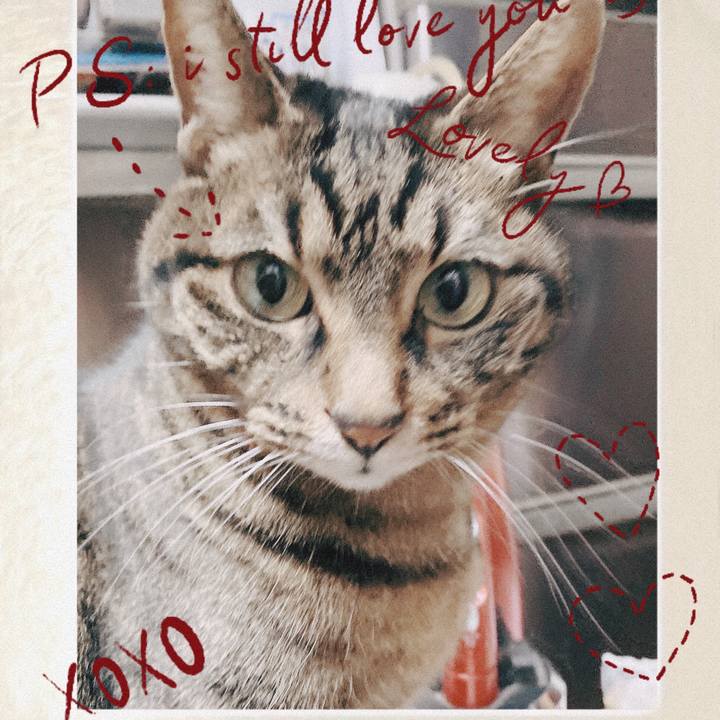 2c669aca e3c7 4f34 ab96 a87057fdbdfa 1676382025797