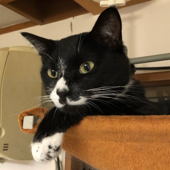 2c66a2d7 bd7f 4ded a520 c8d7b2b3d3b5 1599537426637