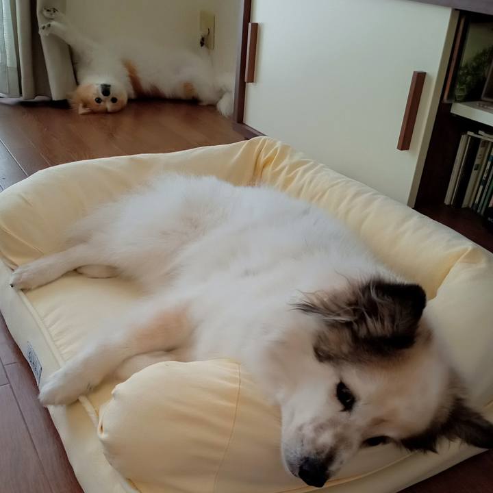 2c66c031 c18c 49b4 9056 ef67f4942aa0 1633000219042