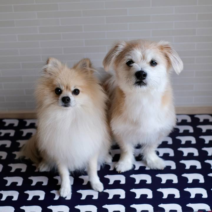 2c66c3d1 2623 46b7 a712 6a9ad00b2acf 1760653098261