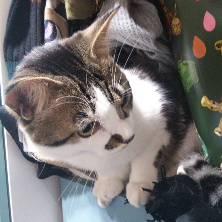 2c6727ff 4b05 467f 9b8e deda2be67418 1647007547258