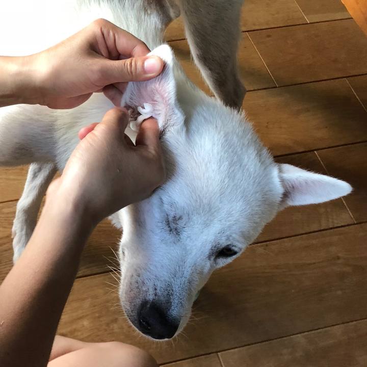 2c675626 c6d4 4be7 b092 bbbdc9719464 1534845743464