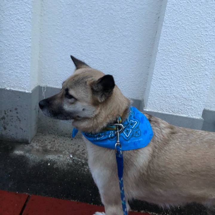 2c6779c1 d09f 4609 8753 8d3946c1f48f 1580129945912