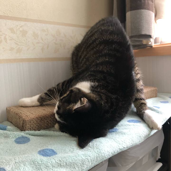 2c681797 1721 4d4c 99c4 27f215540602 1610033083303