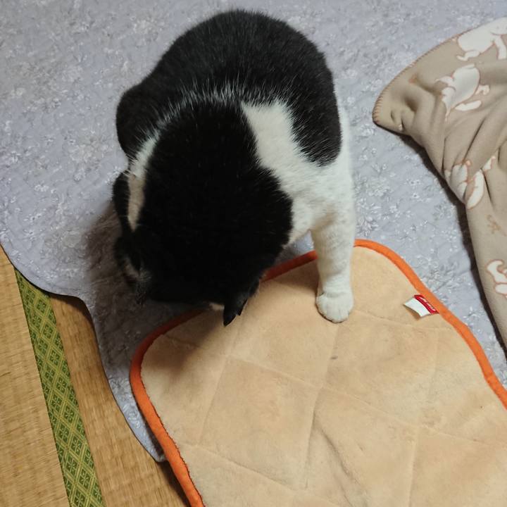 2c681db7 803a 4ea9 8dd5 d543eef196b9 1607165926935