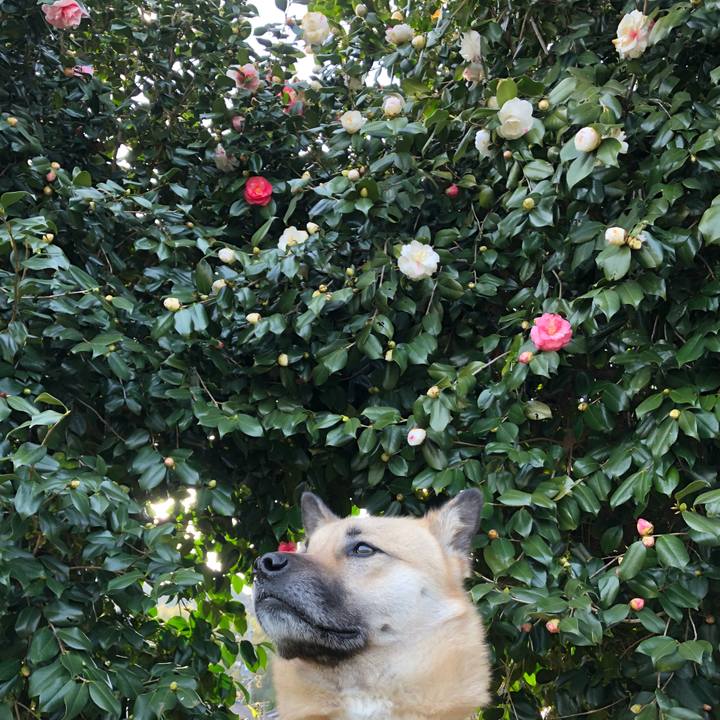 2c682c1e 66fa 4f45 8531 36560bde5755 1552308032088