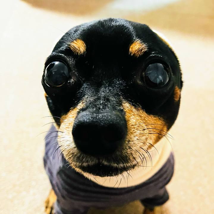 2c686266 a8b5 4fe0 82c1 24fe7f08fd4d 1748663127698