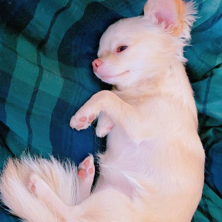 2c6867b5 e90d 4588 89ef 63b555f7eb36 1631516523621