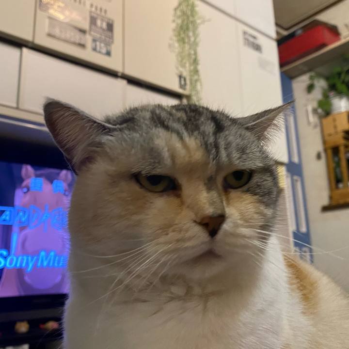 2c686fc3 e046 4d42 a403 b473c669ffa9 1648911665246