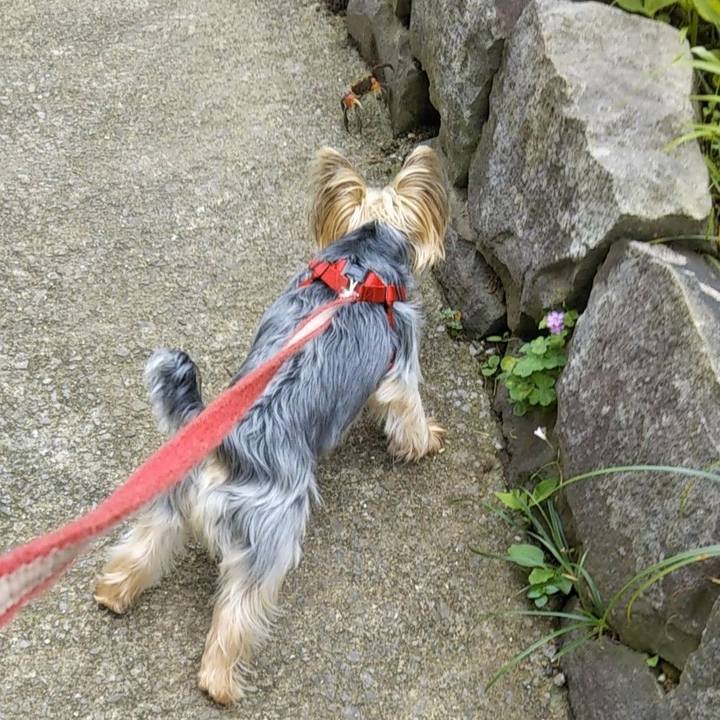 2c687298 b033 4dbe 9e11 766e1e029244 1623562143345