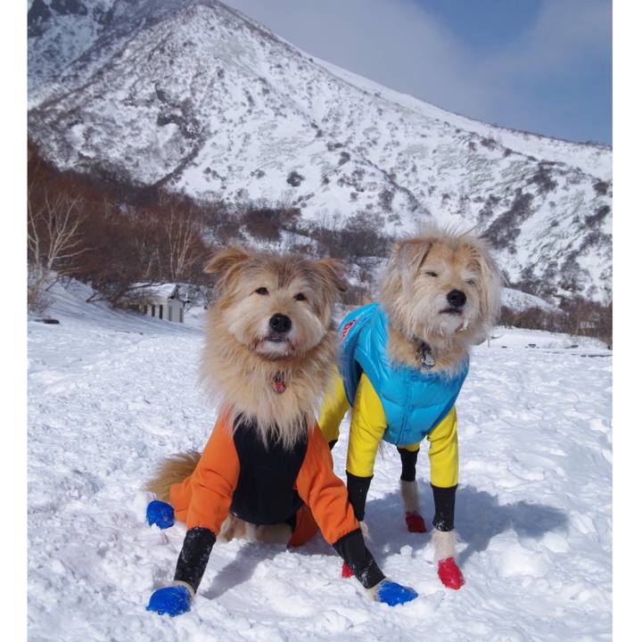 2c68a4ef aeea 4852 a08c e275ac48cd78 1547482723717