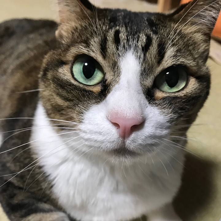 2c68cebf 74b0 4fa9 b29f ebd8a15d2d3c 1552136844672