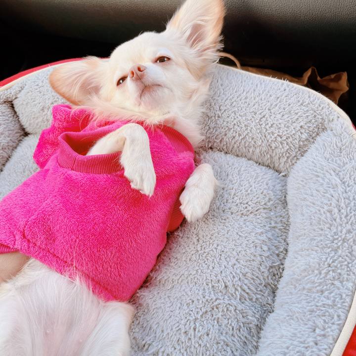 2c68e055 345f 4a81 9f9f 3eef2d2f9170 1672711970445