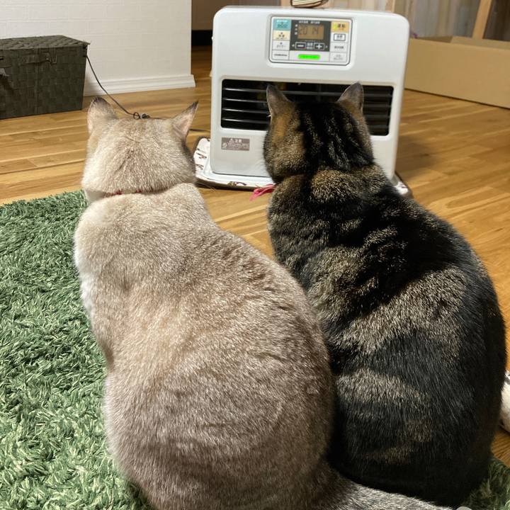 2c69379f e51f 4663 a1af d0aece5dfbb0 1613830360565