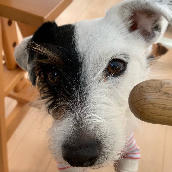 2c6959cb c3df 4123 8e2b 8019a3e14d2c 1553641555294