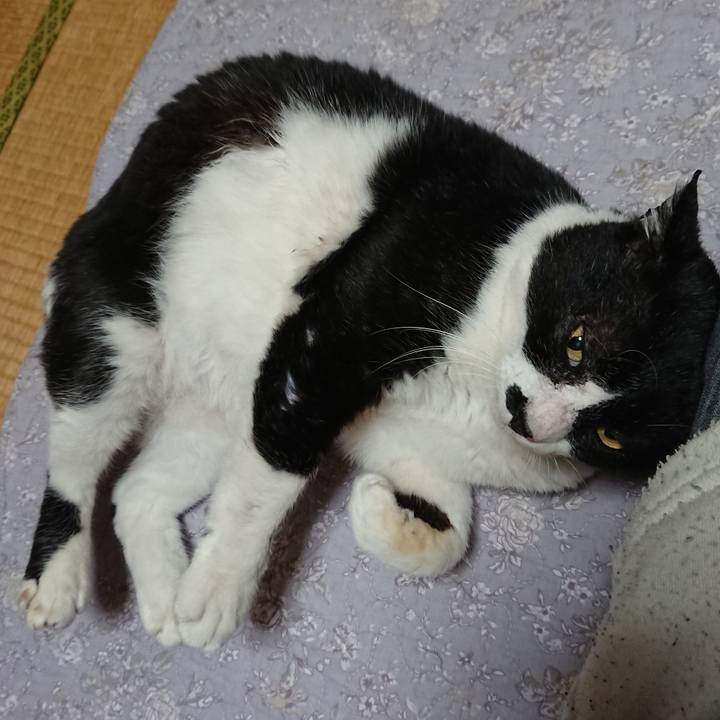 2c696276 87a5 4e6d 9598 25a8c876084d 1579877998748