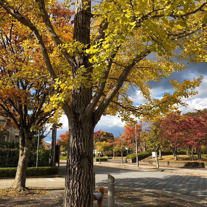 2c69a5ee e4d7 4491 8570 a1bd00504957 1540779685622