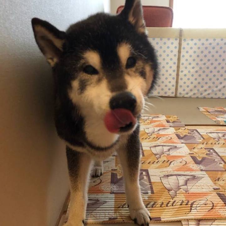 2c69ab23 bc8c 4fdc b333 c00bbf38d911 1631339228354