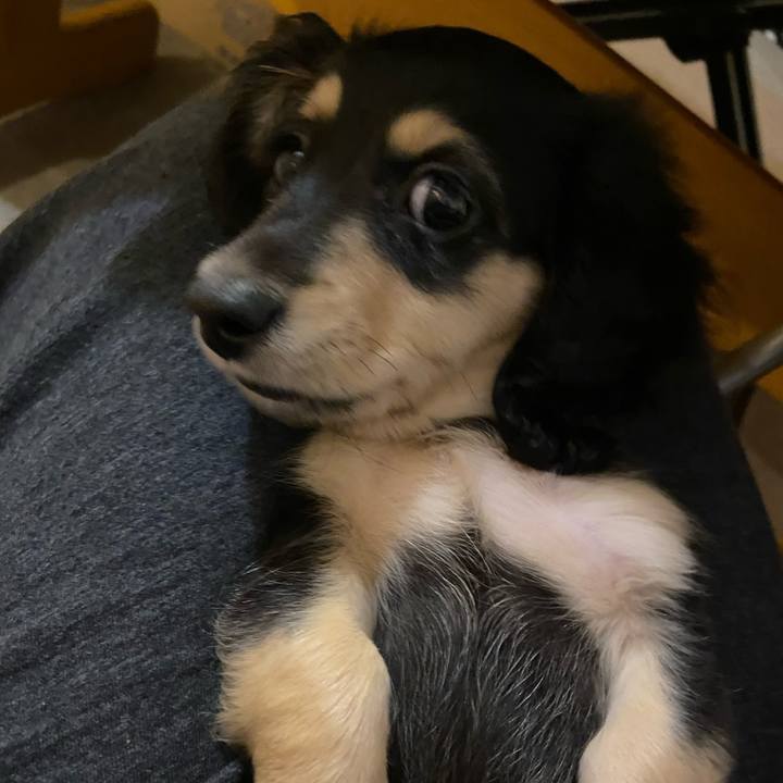 2c69c75b 914f 439c 8d36 aced5c3cdb50 1664919839137