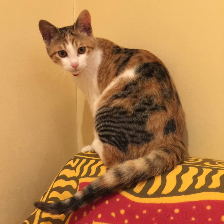 2c69e92d 8b04 4af8 9db8 d4c3df750503 1582076747937