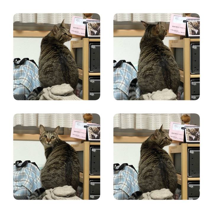 2c69ecd2 a415 43d2 9412 2b89229d3418 1516072026782