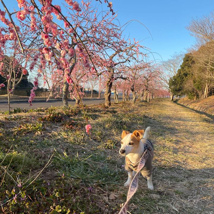 2c69f412 640d 4909 b50a d462bfccd278 1645954505779