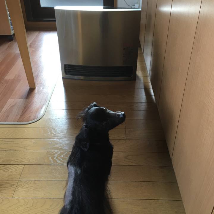 2c6a863c 1ba2 4f03 8cd4 6a01e7a157bd 1544395298005