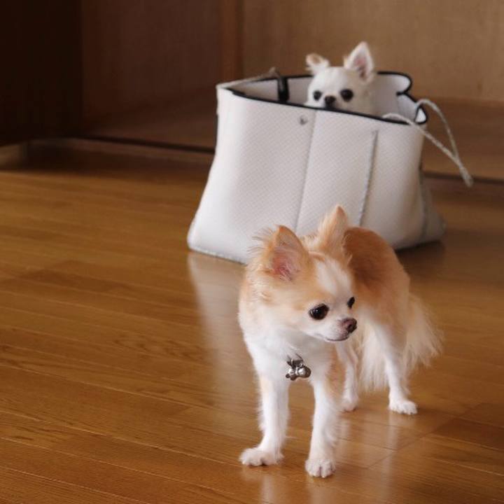 2c6aa7e0 5651 4122 b6ee 1ed6aa421a6b 1772766074508