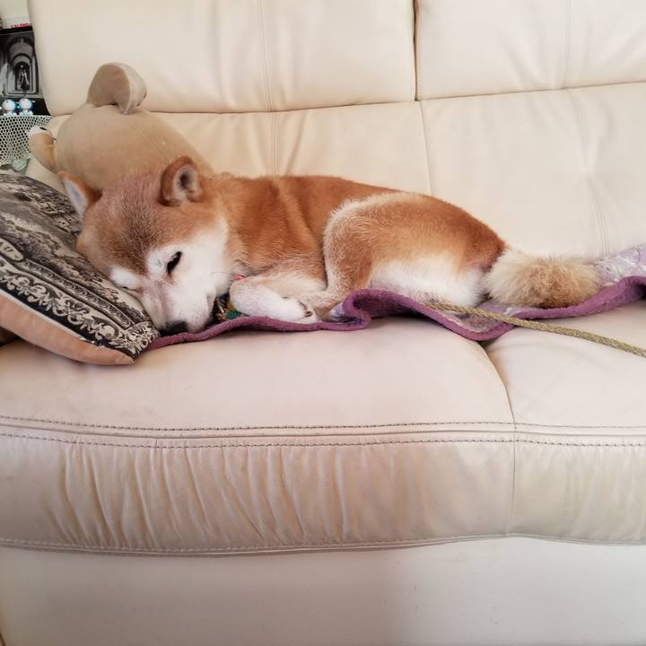 2c6acc6c fabb 4657 ac86 0567198da72f 1596512099158