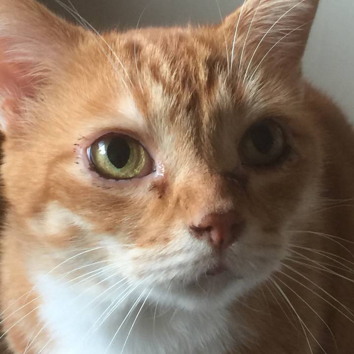 2c6ad949 c590 4428 85c7 c98b069e5039 1572560699380