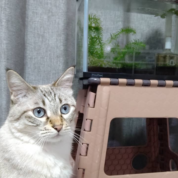 2c6add07 d262 4fc9 9e28 6dd19b16644d 1632043823221