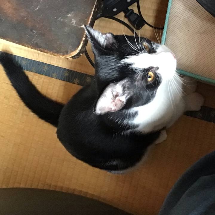 2c6af150 927d 4ea4 b2fd 71240ad77106 1633600268043