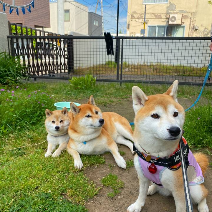 2c6afbe8 29d1 4822 9a88 64511f3f737b 1623114185160